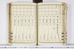 明い003030020012.jpg