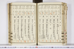 明い003030020013.jpg