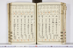 明い003030020014.jpg