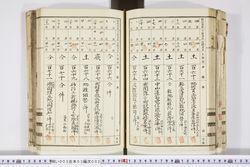 明い003030020015.jpg