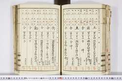 明い003030020017.jpg
