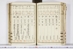 明い003030020018.jpg