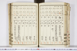 明い003030020021.jpg