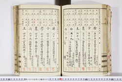 明い003030020029.jpg