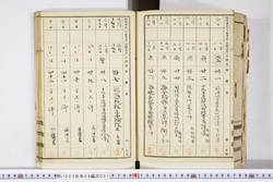 明い003040010005.jpg