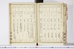 明い003040010006.jpg