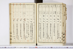 明い003040010010.jpg