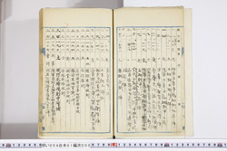 明い004010000004.jpg