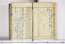 明い004010330010.jpg