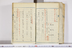 明い004020020002.jpg
