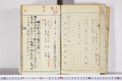 明い004020020003.jpg
