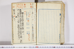 明い004020030010.jpg