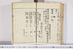 明い004020050002.jpg