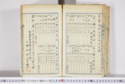 明い004020050007.jpg