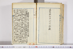 明い004020050008.jpg