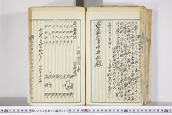 明い004020050010.jpg