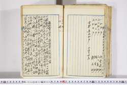 明い004020050012.jpg