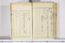 明い004020070002.jpg