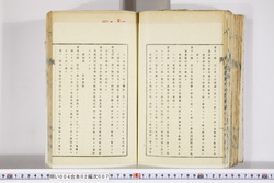 明い004020070004.jpg