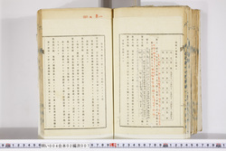 明い004020070005.jpg