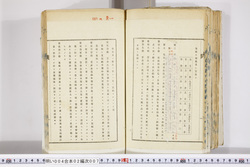 明い004020070006.jpg