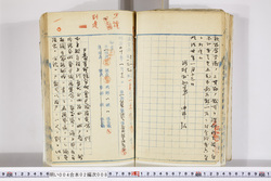 明い004020080002.jpg