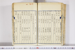 明い004020100005.jpg
