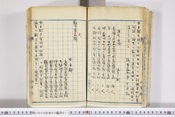 明い004020110004.jpg