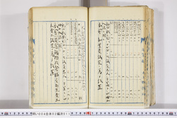 明い004020110010.jpg