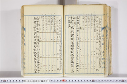 明い004020110011.jpg