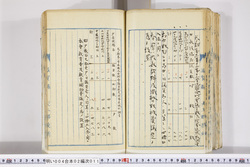 明い004020110012.jpg