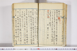 明い004020120002.jpg