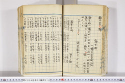明い004020140002.jpg