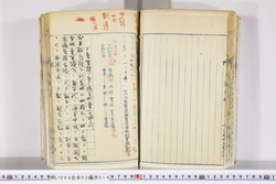 明い004020140010.jpg