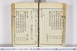 明い004020160004.jpg