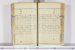 明い004020160012.jpg