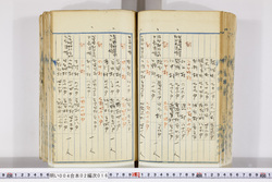 明い004020160020.jpg