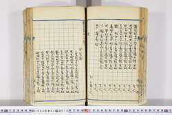 明い004020180003.jpg