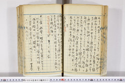 明い004020210002.jpg