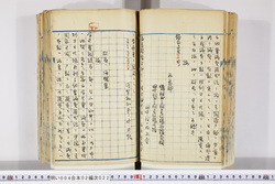 明い004020220002.jpg