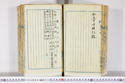 明い004020230004.jpg