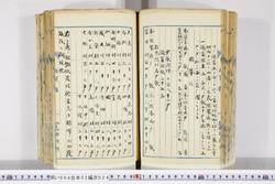 明い004020240005.jpg