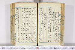 明い004020240008.jpg