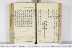 明い004020250002.jpg