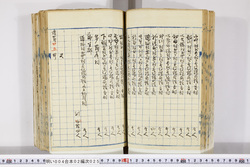 明い004020250003.jpg