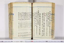 明い004020250008.jpg