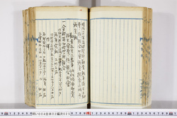 明い004020250009.jpg