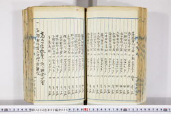明い004020250010.jpg
