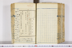 明い004020290003.jpg