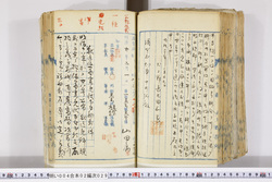 明い004020290005.jpg